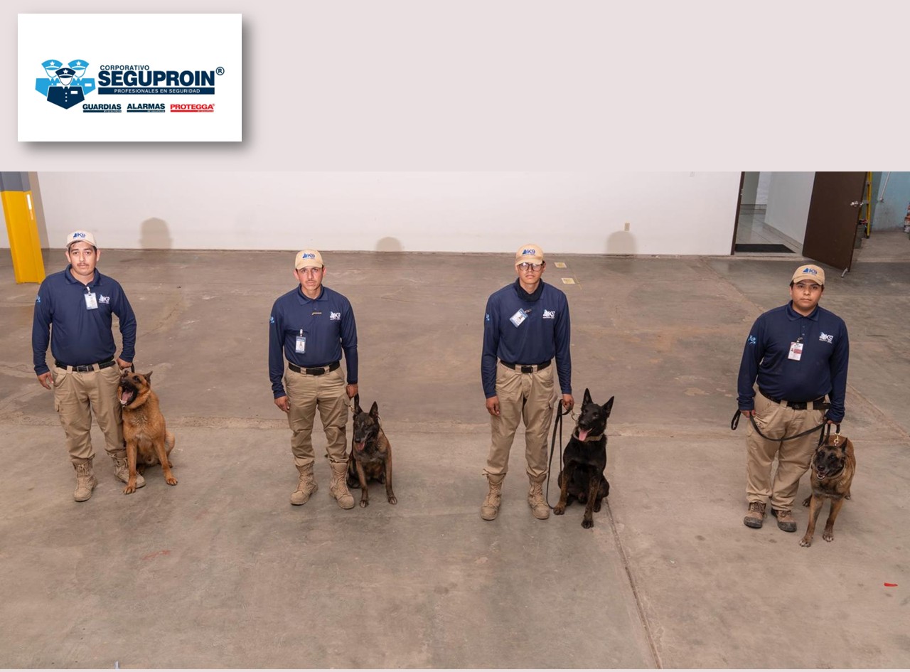 Equipo K9